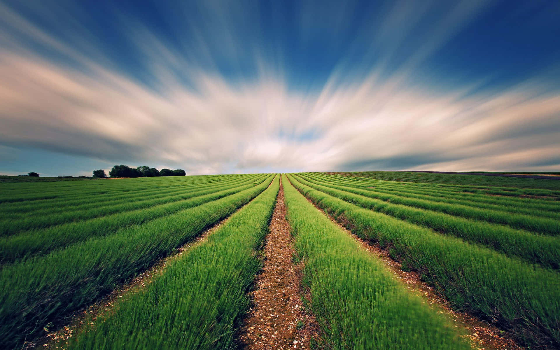 REDEFINING AGRO-WASTE AS A CATALYST FOR CIRCULAR ECONOMY INNOVATION, ENVIRONMENTAL RENEWAL, AND REGENERATIVE INDUSTRIAL TRANSFORMATION AT POWDER HOUSE