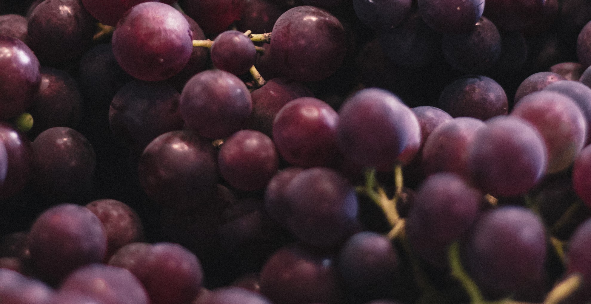 BIOGRAPE™ HEALTH BENEFITS