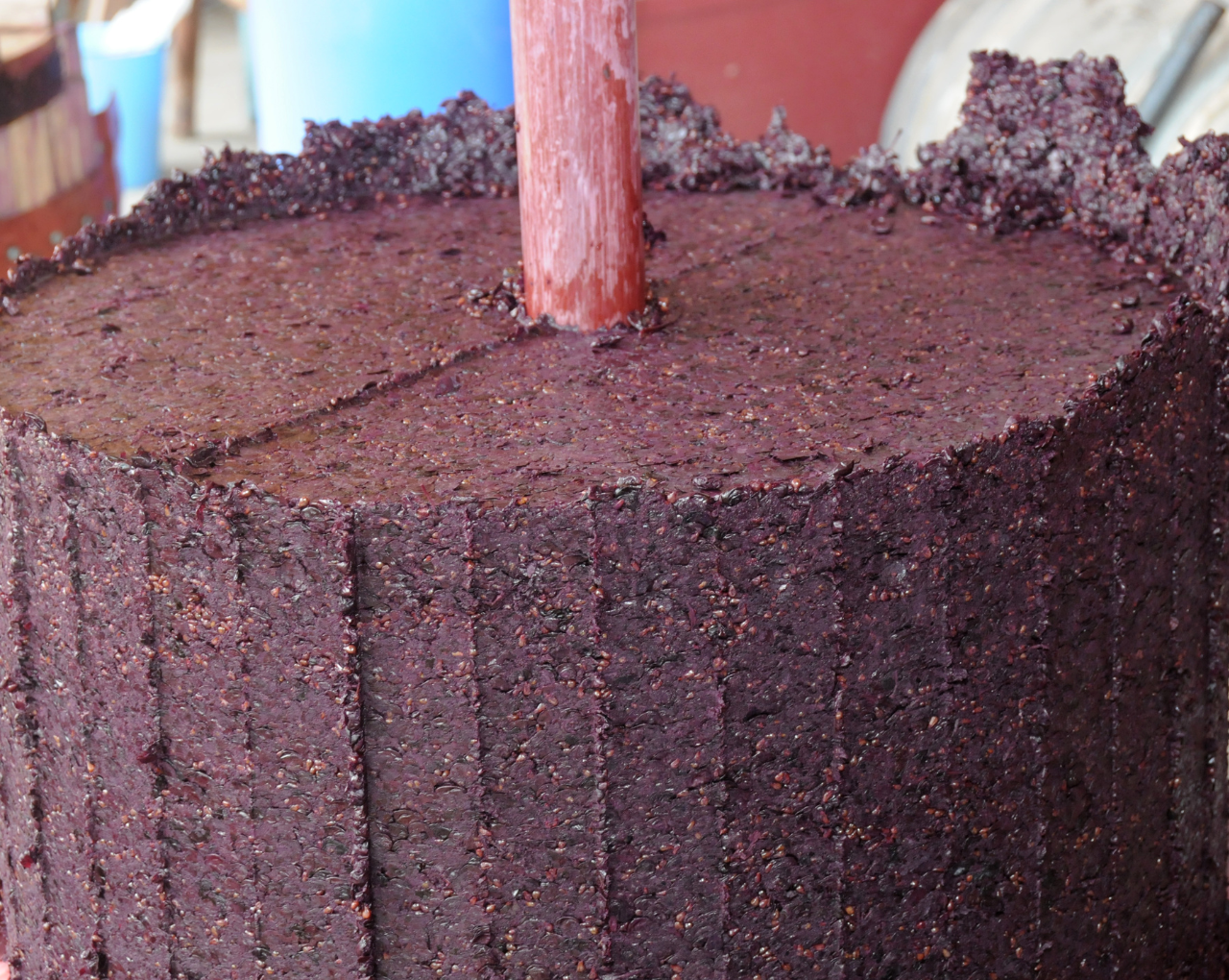 POWDER HOUSE’S AGRO-WASTE UPCYCLING MODEL