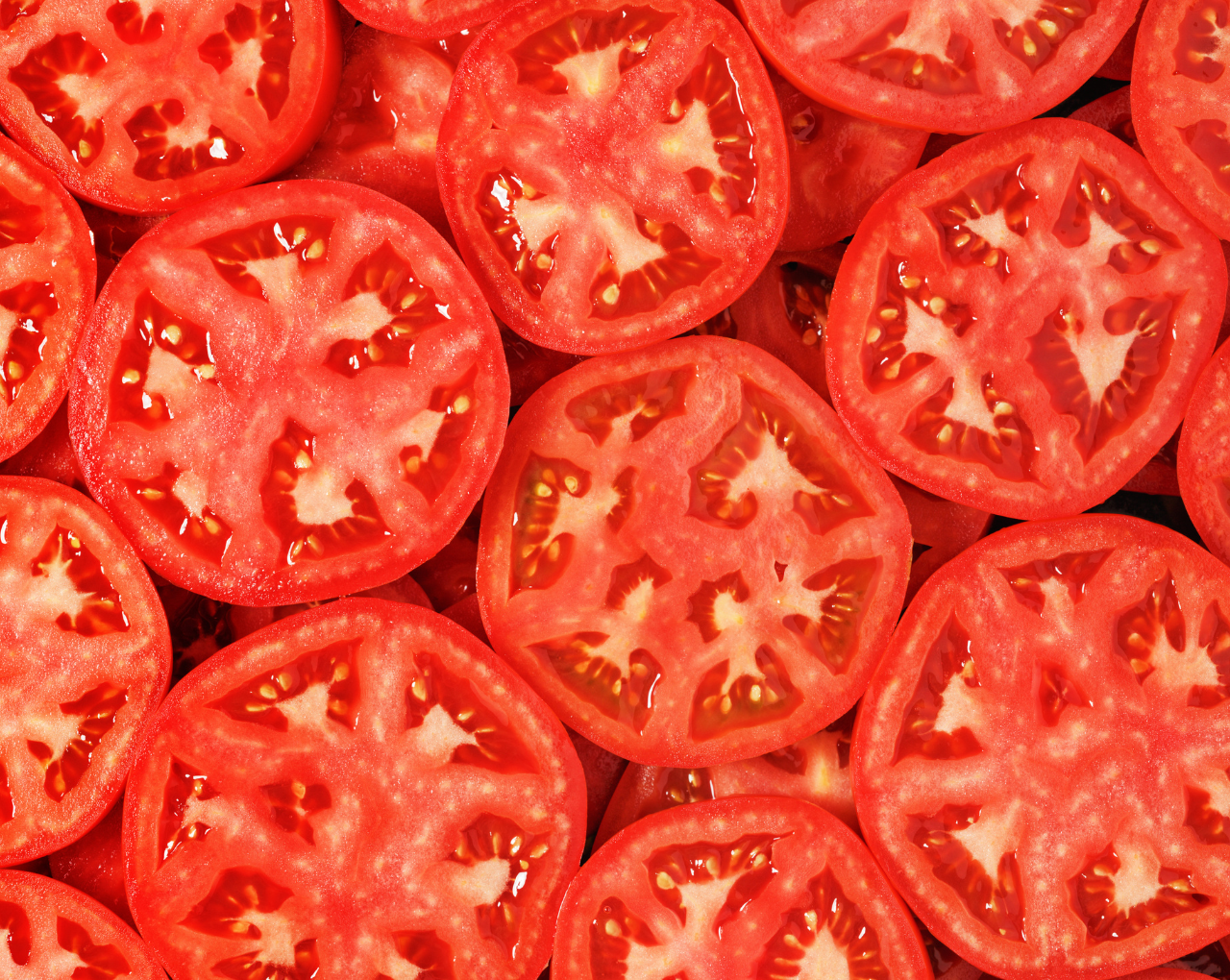 WHAT IS POWDER HOUSE?