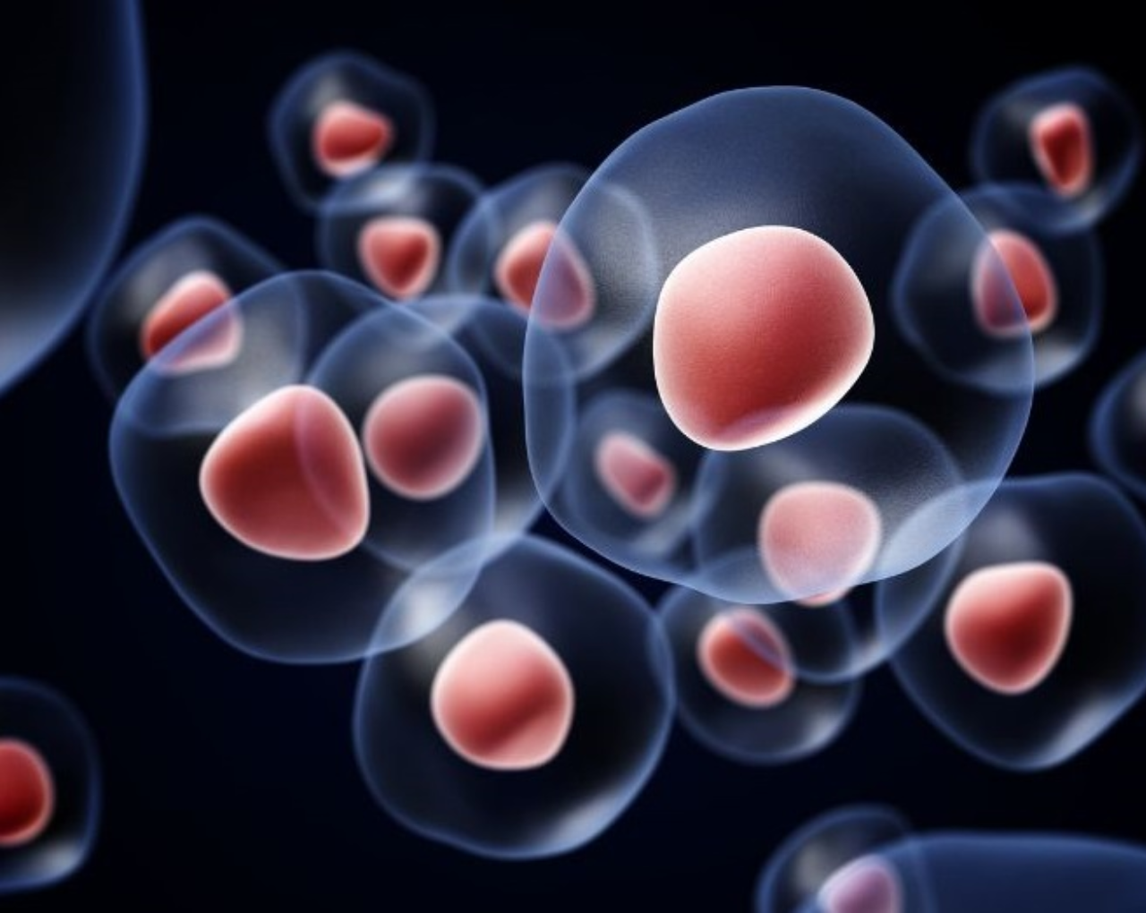 ARTIFICIAL AND NATURAL ENCAPSULATION