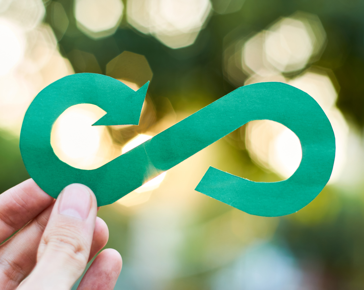 CIRCULAR ECONOMY MODEL FOR THE AGRO-INDUSTRIAL SECTOR