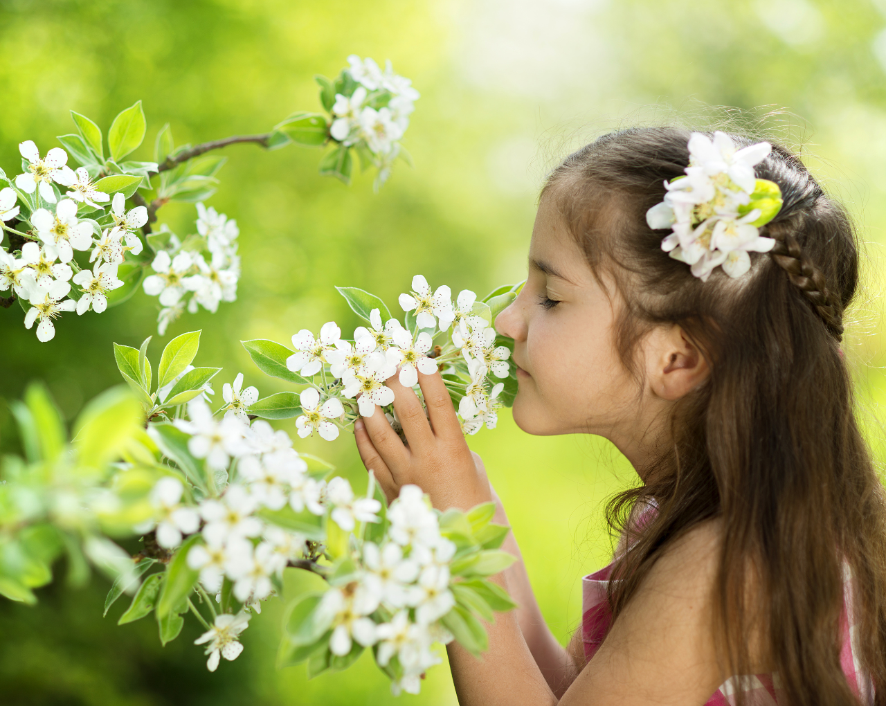 FOOD SENSORY PROPERTIES