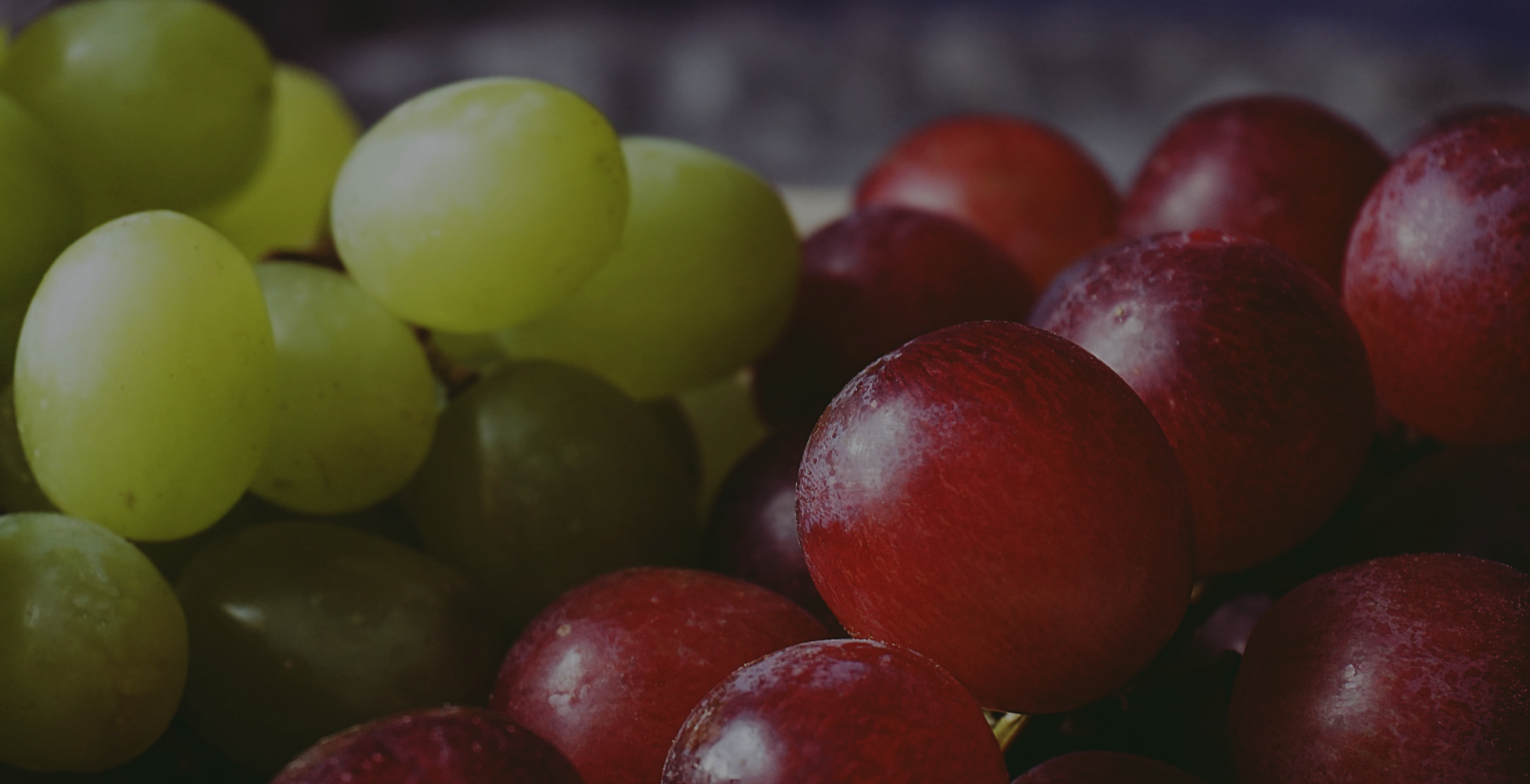 ENHANCING INSULIN SENSITIVITY, METABOLIC RESILIENCE, AND ENDOCRINE BALANCE THROUGH PRECISION BIOFUNCTIONAL INNOVATION WITH BIOGRAPE™