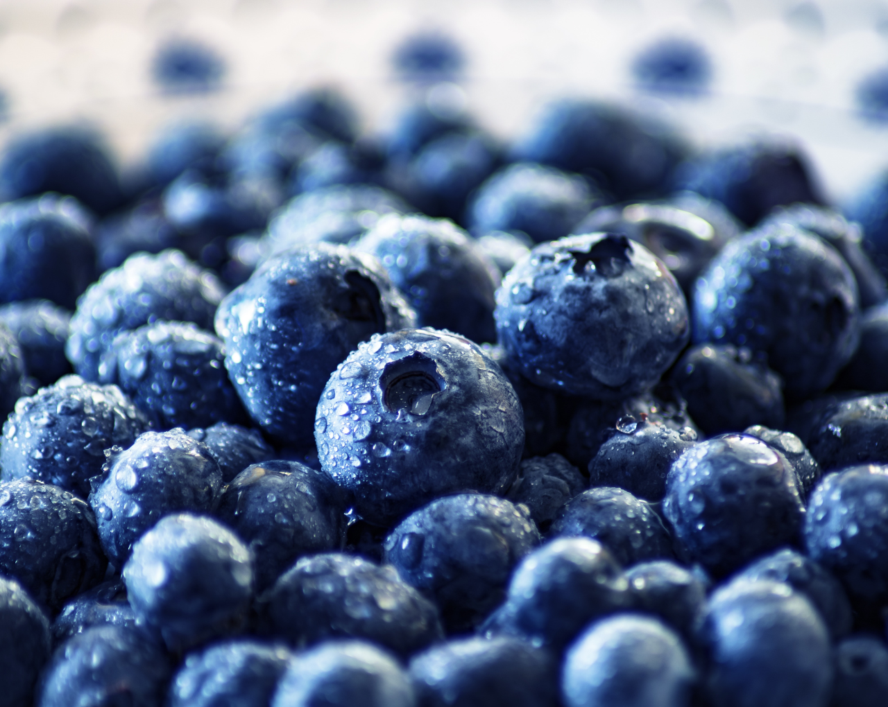 PRODUCT SENSORY PROPERTIES